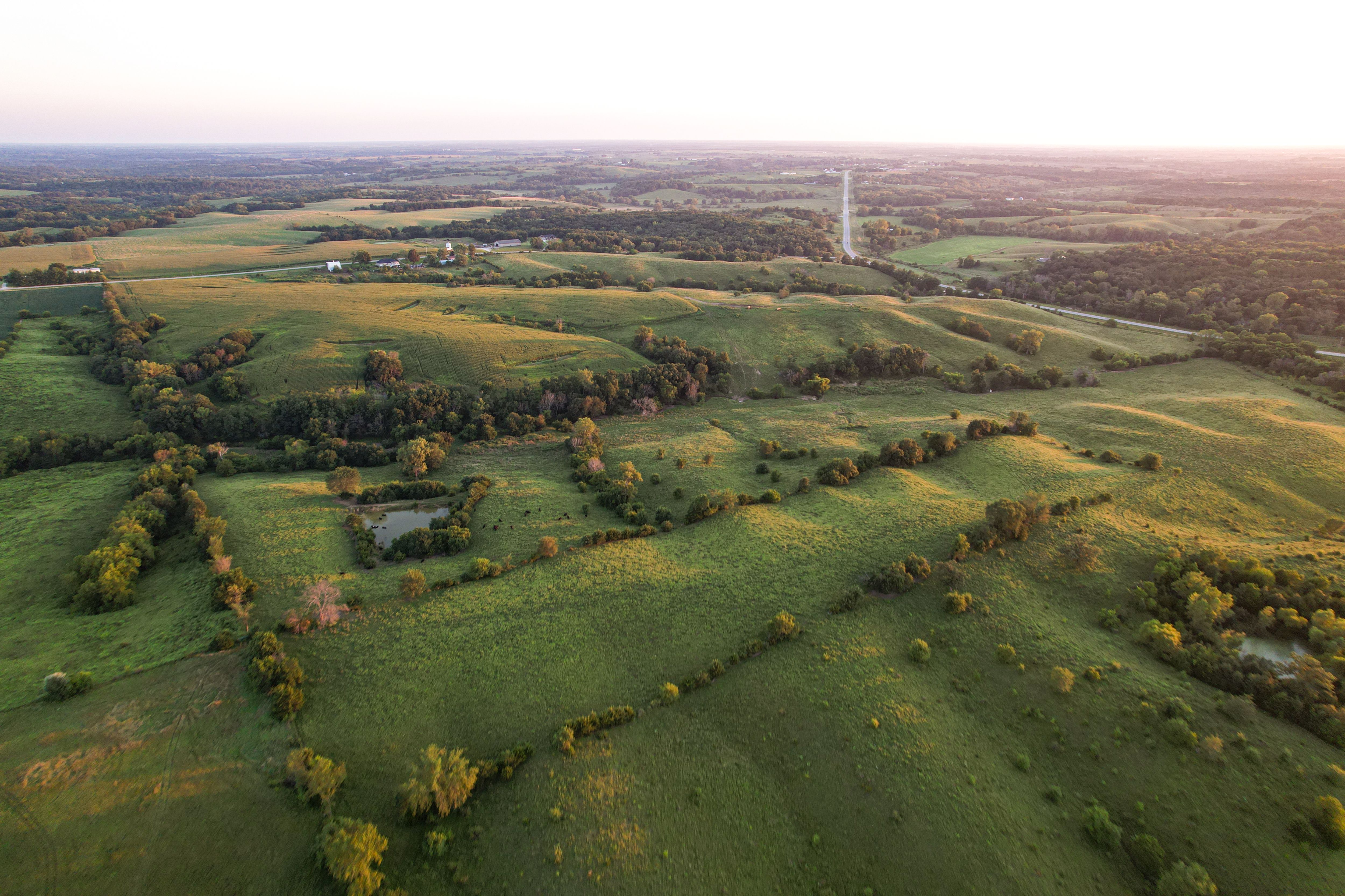 Listing Photo: Photo Aug 20 2025, 7 48 09 PM